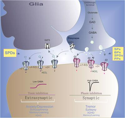 Phenols and GABAA receptors: from structure and molecular mechanisms action to neuropsychiatric sequelae